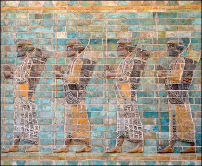 Âge du fer : comment appelle-t-on également les archers de la ''frise des archers'' du palais de Darius Ier ?
