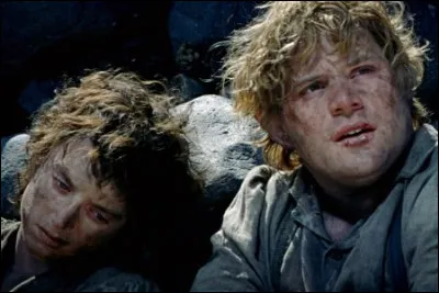 D'où provient cette image ?