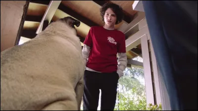 D'où provient cette image ?