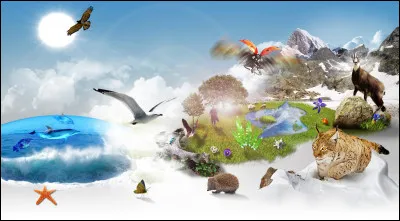 Parmi ces animaux, lequel préfères-tu ?