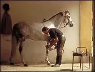 Qui s'occupe du parage ?