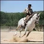 Qu'est -ce que la Doma Vaquera ?