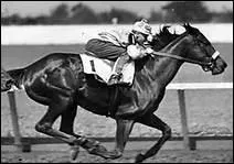 Quel cheval clbre a fait l'objet d'un film ?