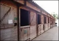 Quelle est la diffrence entre un box et une stalle ?