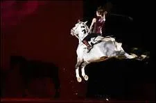 O fait-on 'voler' les chevaux ?