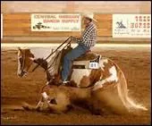 Que sont le reining, le cutting et le barrel racing ?