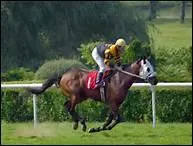 Dans quelle preuve se distingue le jockey ?