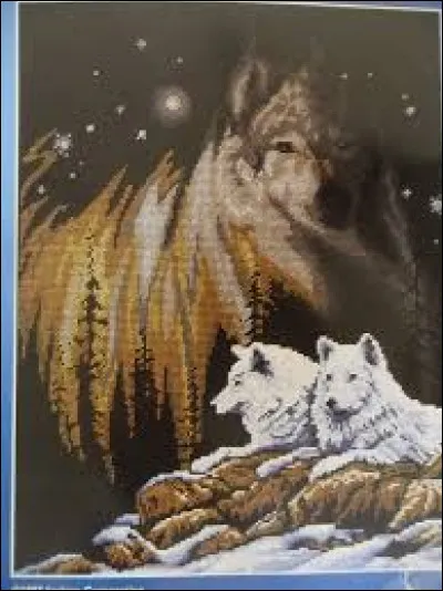 Dans l'un de ces trois films, on peut voir l'acteur Liam Neeson !