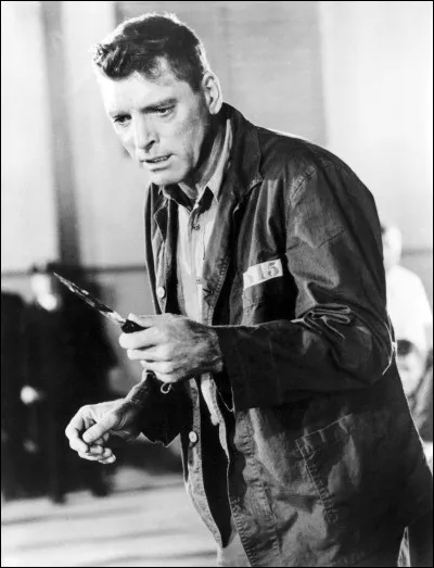 Le Prisonnier d'Alcatraz, film réalisé par John Frankenheimer, raconte de façon romancée le calvaire de la vie en prison de Robert Stroud, magnifiquement interprété par Burt Lancaster. Comment trouve-t-il sa rédemption dans ce milieu carcéral ?
Indice : Pierre Perret voulait qu'on leur ouvre la cage.