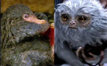 Quiz Animaux