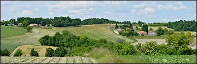 Quand tu pars te balader dans la campagne, que fais-tu ?