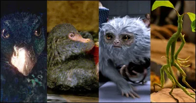 Ce test touche à sa fin, que penses-tu de ton futur résultat ?