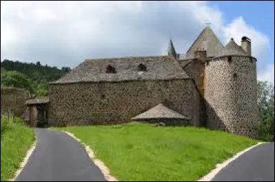 Je vous propose de partir à la découverte du château de Jarrousset, à La Chapelle-d'Alagnon. Commune Cantalienne, elle se situe dans l'ex région ...