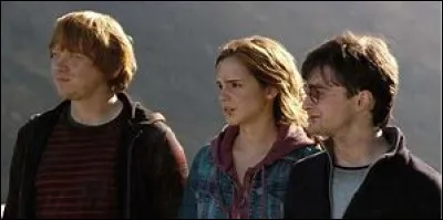 Si tu devais choisir un allié, ce serait :