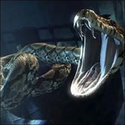 Quel serait ton animal de compagnie ?