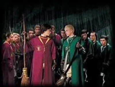 Au quidditch, tu :