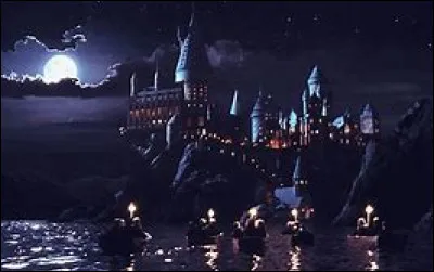 Pour toi, Poudlard te servira plus tard pour :