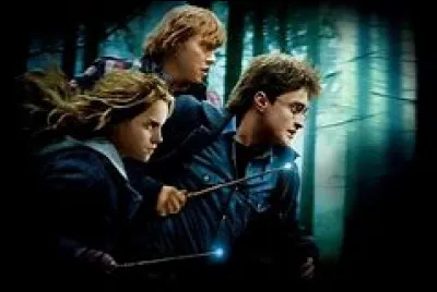 Qu'est-ce qui te correspond le mieux ?