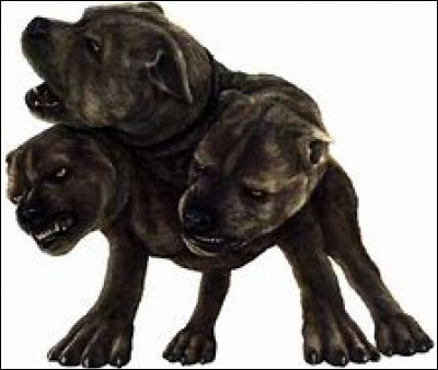 Si ton ami(e) est entre les pattes d'un chien à trois têtes, que fais-tu ?