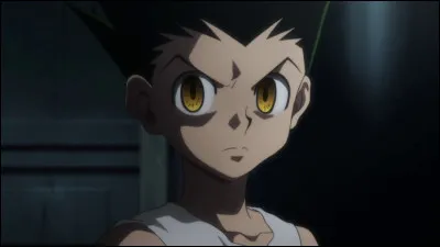 Pourquoi Gon veut-il devenir Hunter ?