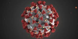 Quiz Coronavirus
