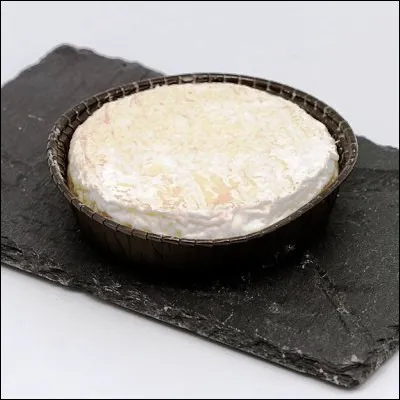 Quel fromage typique de la gastronomie lyonnaise est proche du saint-f&eacute;licien ?