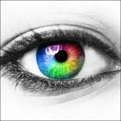 Quelle sp&eacute;cialit&eacute; param&eacute;dicale traite les troubles visuels ?