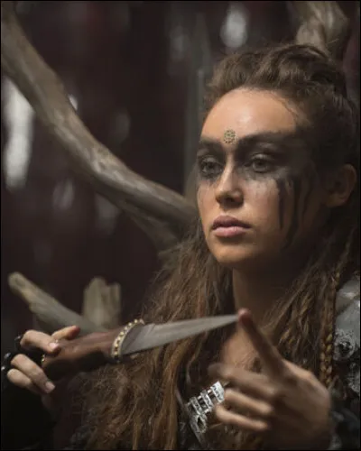 Quelle est la couleur du sang des commandants ?