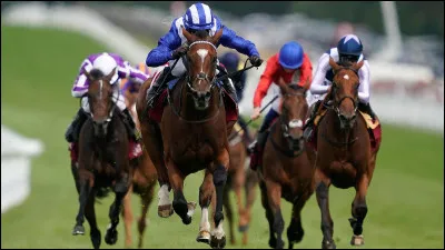 À quoi servent les illères durant la course ?