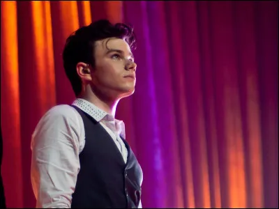 Comment s'appelle l'acteur qui joue Kurt dans la série ?