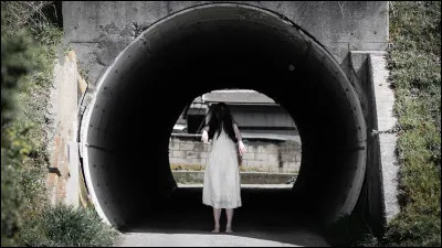 Dans les croyances traditionnelles et les légendes urbaines du Japon, qu'est l'onryō ?