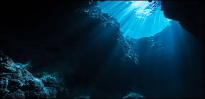 Dans quel océan Bob l'éponge vit-il ?