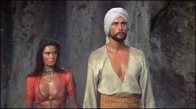 Afin d'aider un grand vizir, un marin part en quête d'atteindre une mystérieuse île mais un vil sorcier se mettra en travers de son chemin. Comment se nomme ce film ?