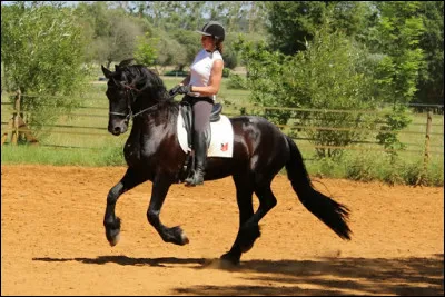 Quand on monte un cheval, celui-ci doit avoir le dos rond.