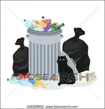 Comment se d&eacute;barrassait-on des d&eacute;chets avant l'invention des poubelles ?