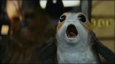 Quelle est cette créature trop kawaii ?