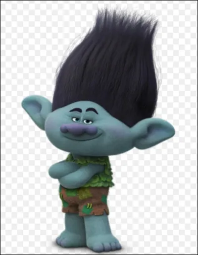 Je suis le meilleur ami de Poppy et mes cheveux bleus peuvent s'élargir ! 
Qui suis-je ?