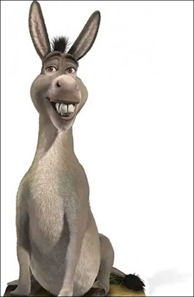 Je suis un âne particulier car, moi, l'ami d'un ogre et l'amoureux d'un dragon, je sais parler !
Qui suis-je ?