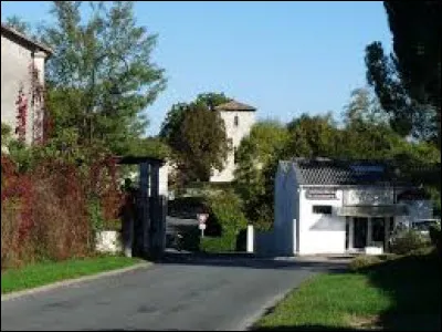 Nous sommes en Nouvelle-Aquitaine, à Saint-Pierre-du-Palais. Commune de l'arrondissement de Jonzac, elle se situe dans le département ...