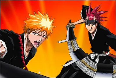 Enfin, quel est cet autre animé ?