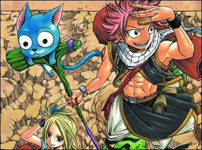 Dans lequel de ces animés retrouve-t-on le célèbre personnage Natsu ?
