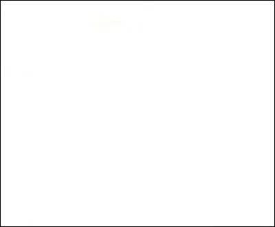 Comment dit-on la couleur blanche en anglais ?