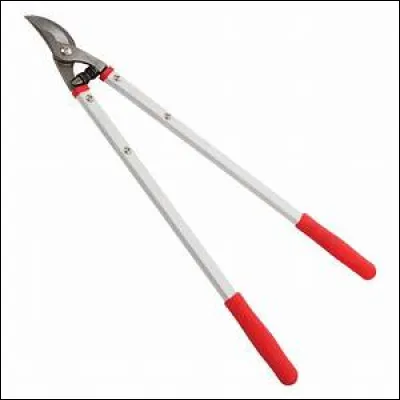 Comment s'appelle cet outil ?