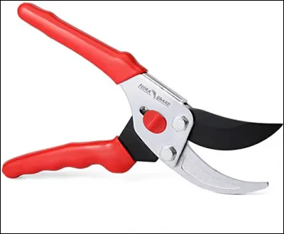 Comment s'appelle cet outil ?