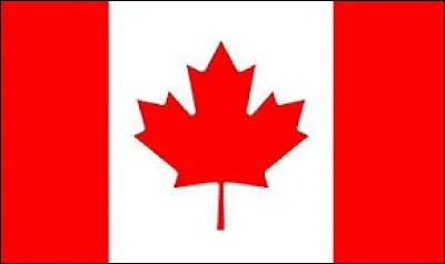 À quel pays appartient ce drapeau ?