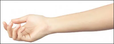 Comment dit-on un ''bras'' en anglais ?