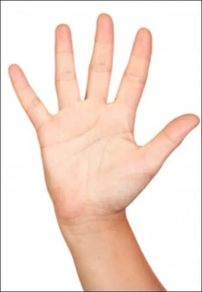 Comment dit-on une ''main'' en anglais ?