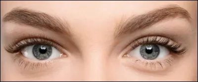 Comment dit-on des ''yeux'' en anglais ?