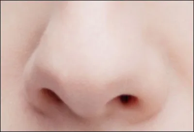 Comment dit-on un ''nez'' en anglais ?