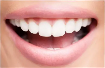 Comment dit-on une ''bouche'' en anglais ?